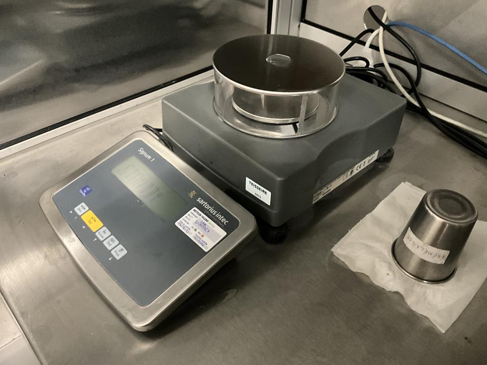 Sartorius SIWSBBP-1-06-H Balance&nbsp; 