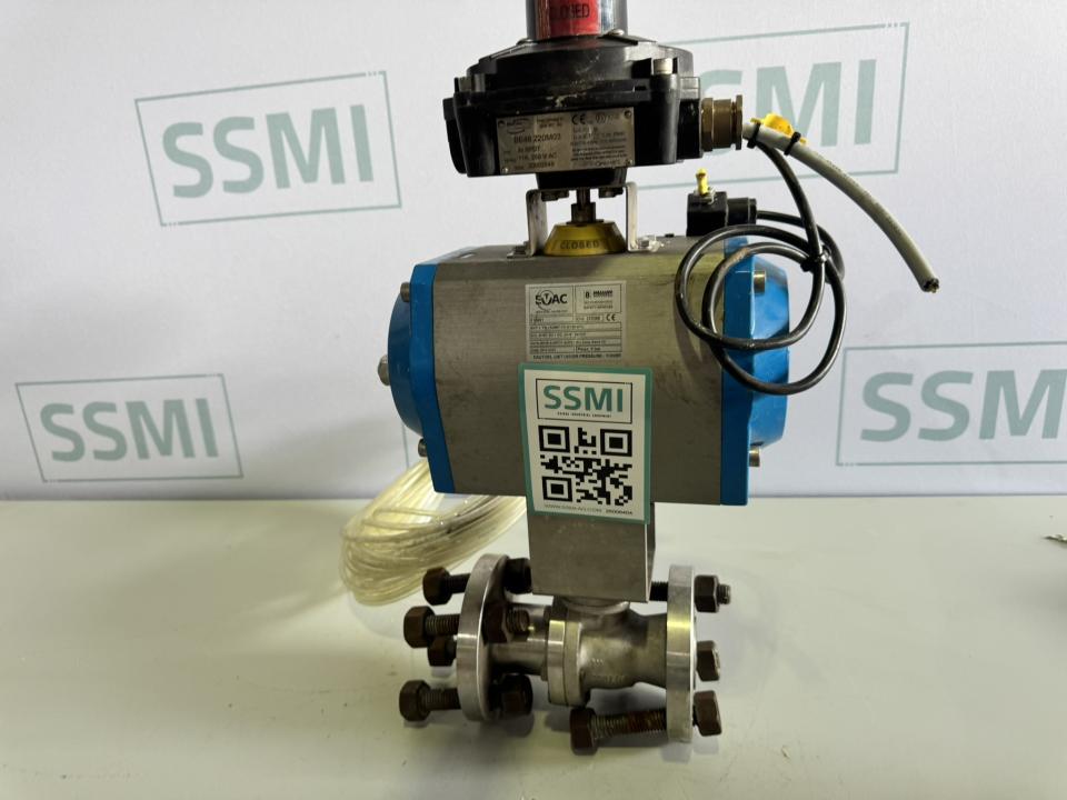 Pneumatic Valve Actuator Assembly 