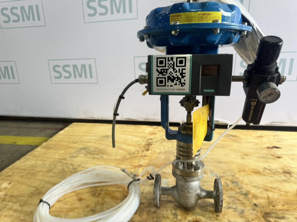 Pneumatic Globe Control Valve with Smart Positioner 