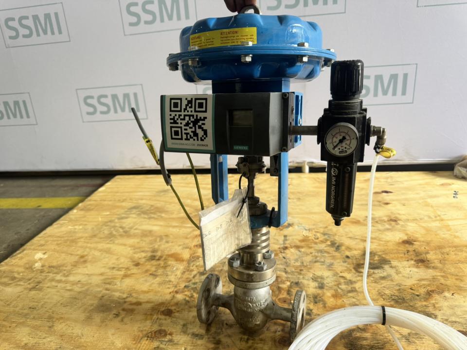 Pneumatic Globe Control Valve with Smart Positioner 