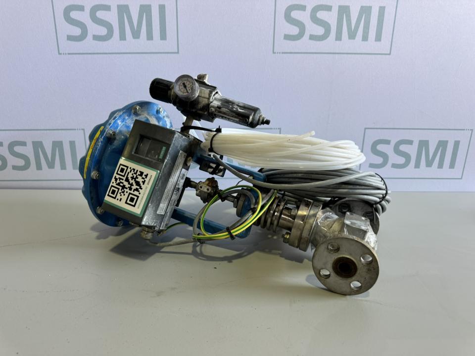 Pneumatic Globe Control Valve Assembly with Smart Positioner 