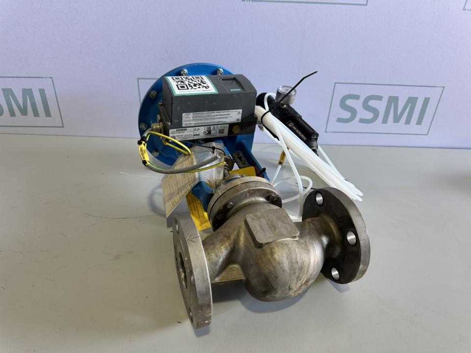 Pneumatic Globe Control Valve Assembly with Smart Positioner 
