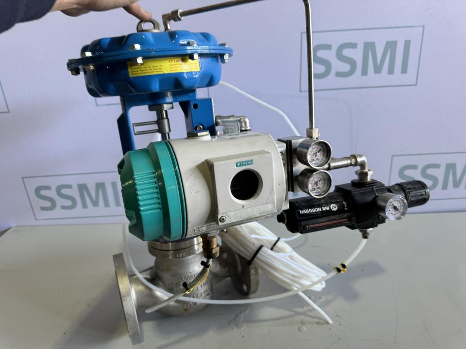 Pneumatic Globe Control Valve Assembly (2