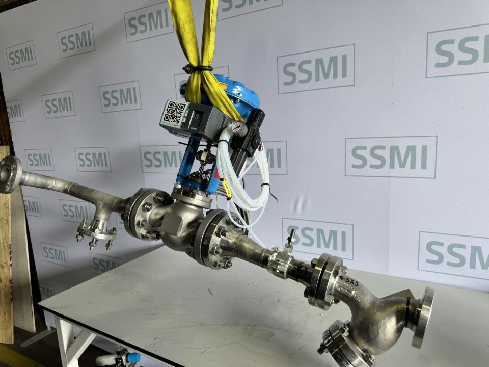 Pneumatic control valve with positioner 